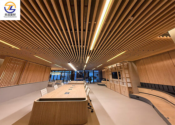 Aluminum Baffle Ceiling | Modern Linear Ceiling Solution